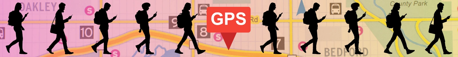 アジサイの画像