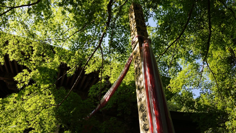 ２０番岩之上堂で新緑の木漏れ日が差し込む御手綱の支柱を下から撮影